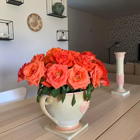 Casa Vilarelho * Caminha