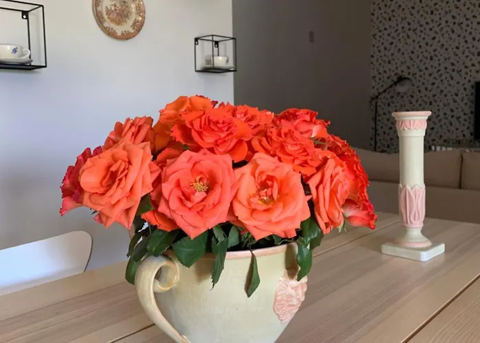 Casa Vilarelho * Caminha